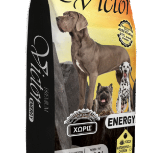 Victor Energy