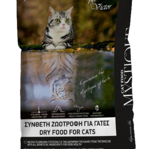 Mystique Cat