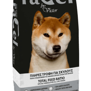 Victor Racel Dog