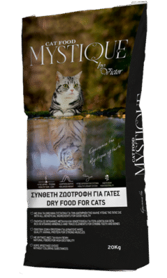 mystiquecat-1-2