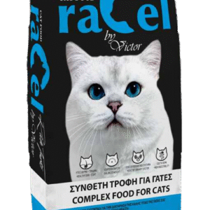 Racel Cat
